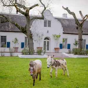 san-gabriel-historic-farm.hotels-capetown.com/